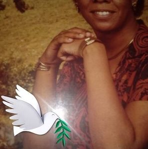 Meet your Posher, Ann